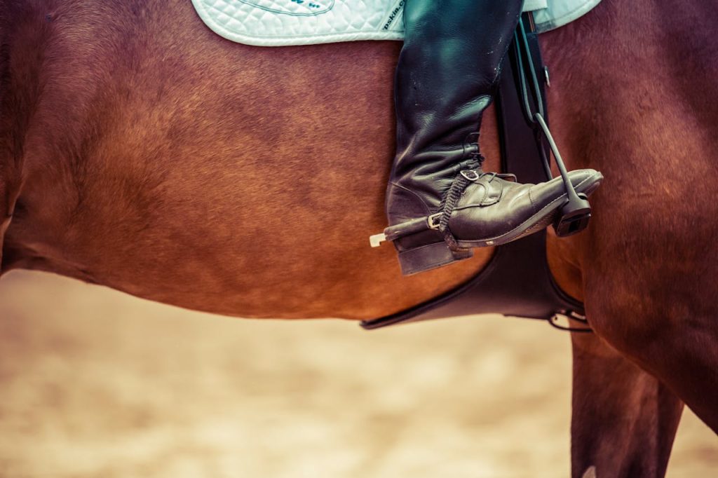 Detailed view of a riders boot in a stirrup on a horse, showcasing equestrian gear.
