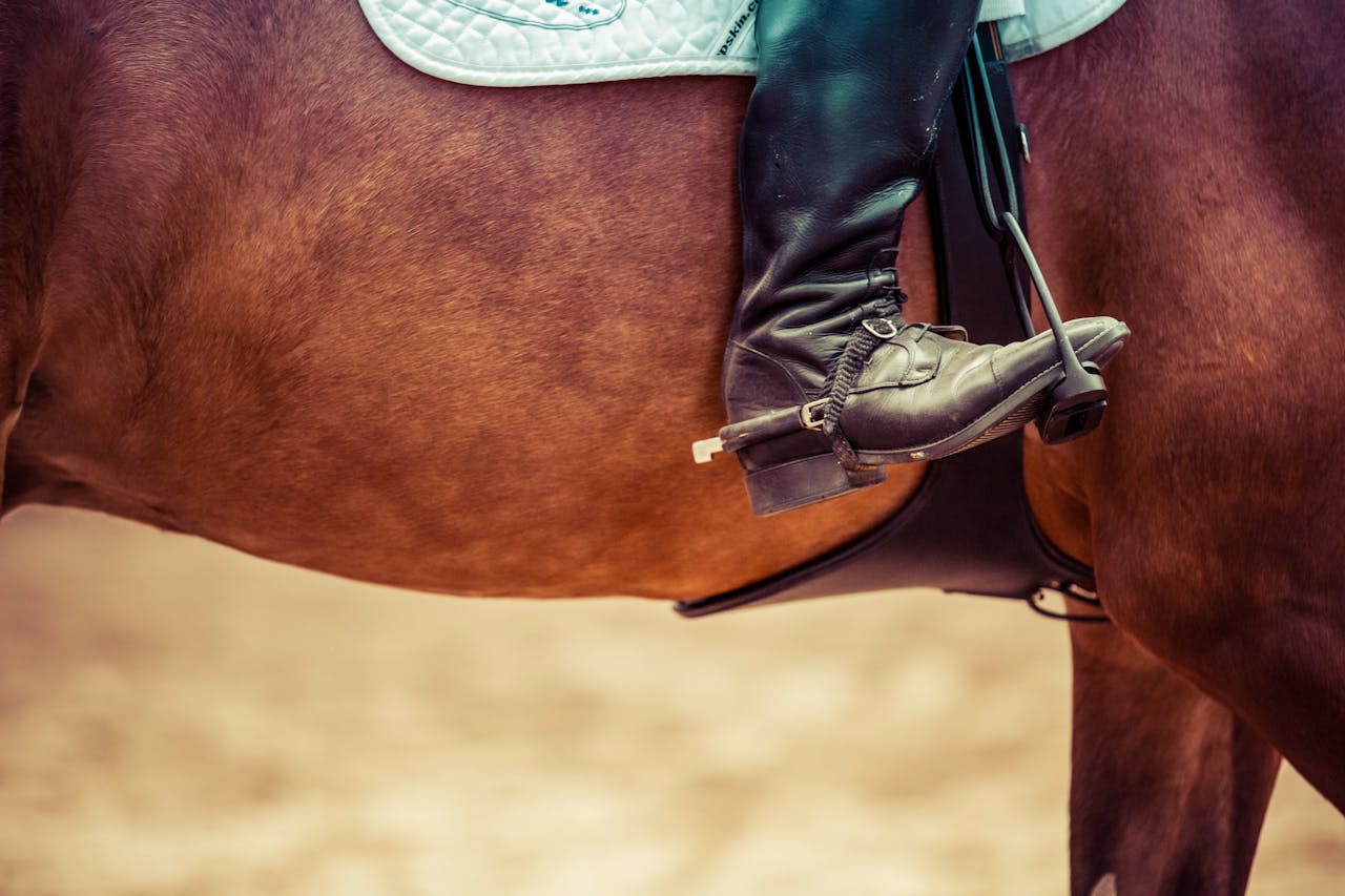 Detailed view of a riders boot in a stirrup on a horse, showcasing equestrian gear.